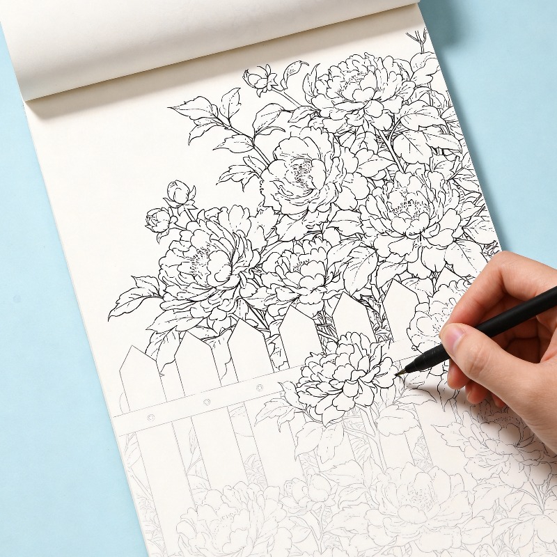 Libro di Graffiti Disegnati a  - Photography Book recensione e prezzo